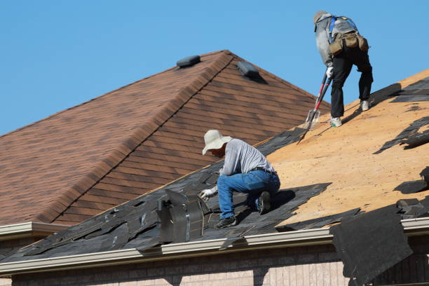 Best Hot Roofs  in Hamilton, AL