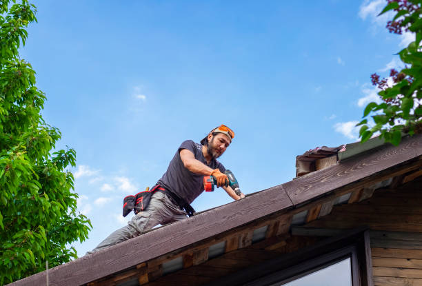 Best Roof Insulation Installation  in Hamilton, AL